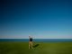 Golf bland generationer illustration